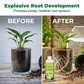 ⏰🎁Advanced Root-Boosting Plant Nutrient