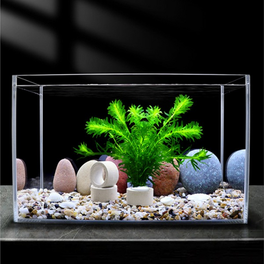 ⏰🎁Aquatic Plant Holder Ring Set