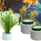 ⏰🎁Aquatic Plant Holder Ring Set