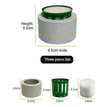 ⏰🎁Aquatic Plant Holder Ring Set