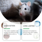 Natural Peppermint Oil Rodent Repellent Spray