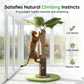 Coconut Tree Cat Scratching Post