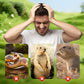 🔥Hot Sale 50% OFF☘️Solar Powered Waterproof Animal Repellent
