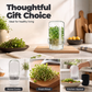 🌱 Grow Fresh Sprouts At Home – Glass Sprouting Jar Kit With Blackout Sleeve🥗
