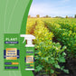 🔥Hot Sale 50% OFF🔥 🌿Nutrition Supplement For Plants！💦🌱Thrive And Grow Strong！Plant Nutrient Liquid Spray – Foliar Feed, Ready-to-Use, for Indoor & Outdoor 🌿