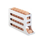 💥2026 Hot Sale🎁4-Tier Tilted Design Egg Storage Rack