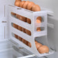 💥2026 Hot Sale🎁4-Tier Tilted Design Egg Storage Rack