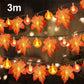 🔥 Hot sale 50% OFF🔥LED Maple Leaf Pumpkin String Lights