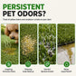🔥HOT SALE 50% OFF🔥Pet Artificial Grass Urine Scale Cleaning Foam